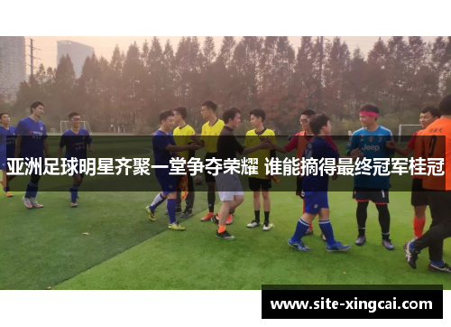 亚洲足球明星齐聚一堂争夺荣耀 谁能摘得最终冠军桂冠 亚洲足球明星齐聚一堂争夺荣耀 谁能摘得最终冠军桂冠