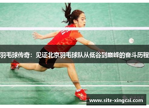 羽毛球传奇：见证北京羽毛球队从低谷到巅峰的奋斗历程