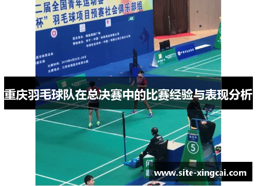 重庆羽毛球队在总决赛中的比赛经验与表现分析