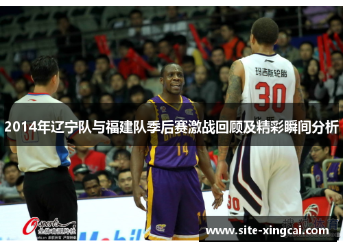 2014年辽宁队与福建队季后赛激战回顾及精彩瞬间分析