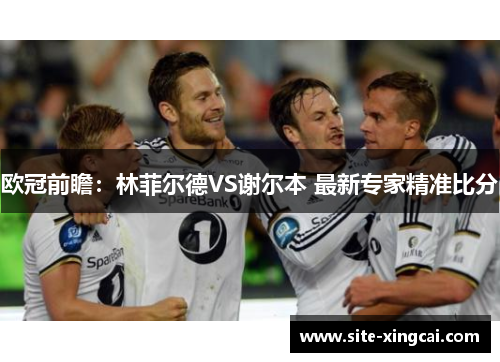 欧冠前瞻:林菲尔德VS谢尔本 最新专家精准比分 欧冠前瞻:林菲尔德VS谢尔本 最新专家精准比分