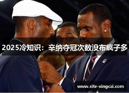 2025冷知识：辛纳夺冠次数没布疯子多