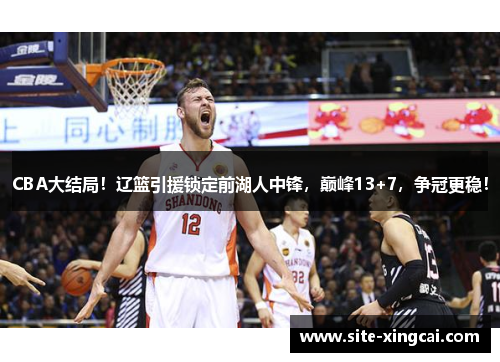 CBA大结局！辽篮引援锁定前湖人中锋，巅峰13+7，争冠更稳！