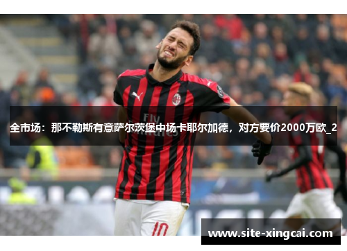 全市场：那不勒斯有意萨尔茨堡中场卡耶尔加德，对方要价2000万欧_2