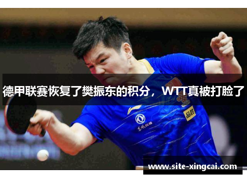 德甲联赛恢复了樊振东的积分，WTT真被打脸了